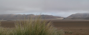 Mist