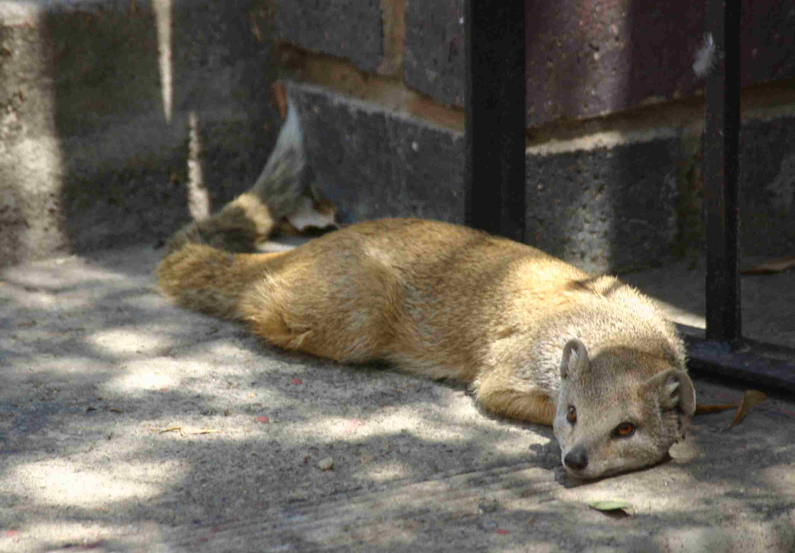 sanderburg big five.html